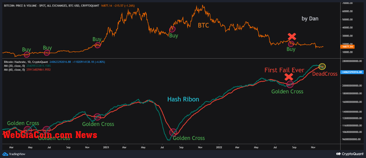 Bitcoin Hash Ribbon Golden Cross