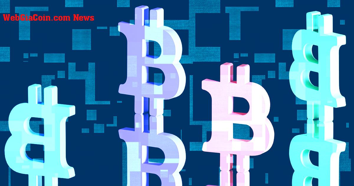 Hơn 66% tổng nguồn cung Bitcoin đã không di chuyển trong một năm qua, lập kỷ lục