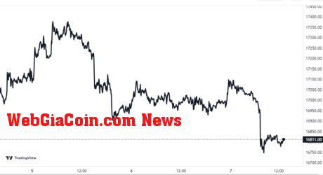 Bitcoin Price Chart