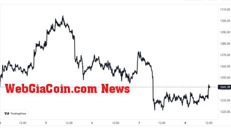 Ethereum Price Chart