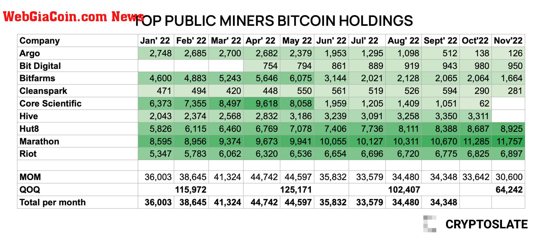 miner holdings