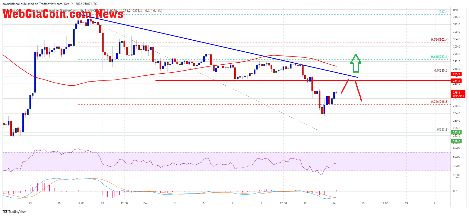 Binance Coin Price BNB