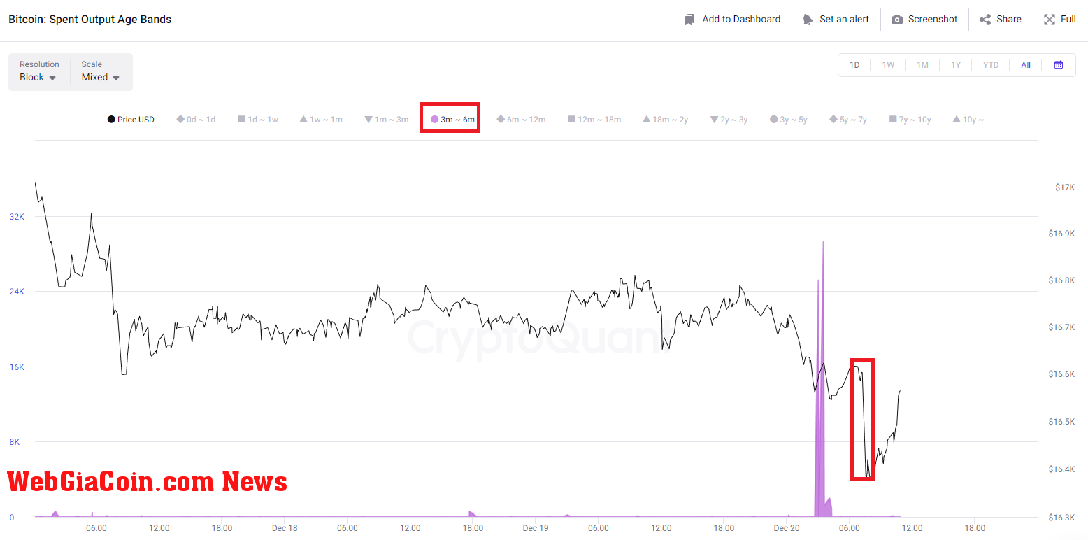 Bitcoin Mid-Term Holder Dumping