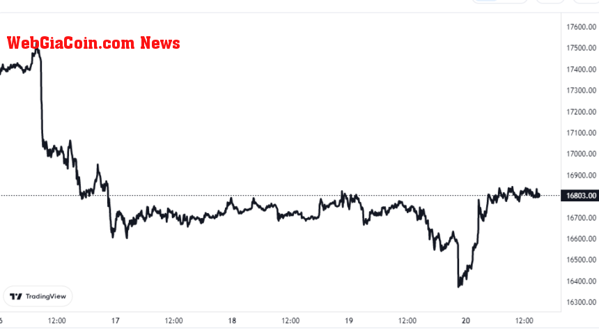 Bitcoin Price Chart