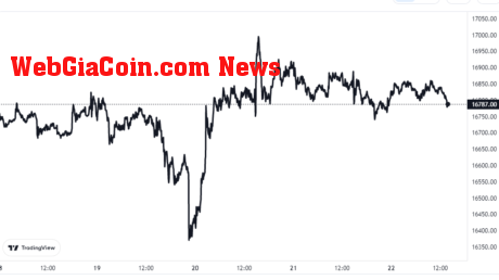 Bitcoin Price Chart