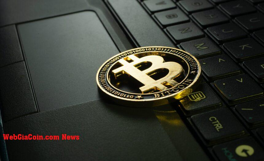 Tín hiệu đáy: Tỷ lệ Bitcoin này có xu hướng giảm xuống mức thấp nhất trong 4 năm