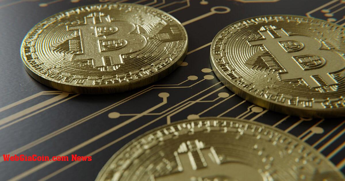 Máy khai thác bitcoin đã tăng tỷ lệ băm và sản lượng bất chấp việc giá BTC giảm vào năm 2022