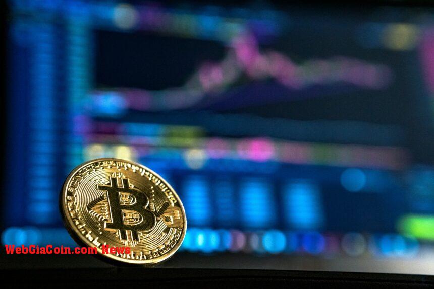Bitcoin tăng giá? Các nhà đầu tư nhỏ hơn cho thấy sự tích lũy nhanh chóng