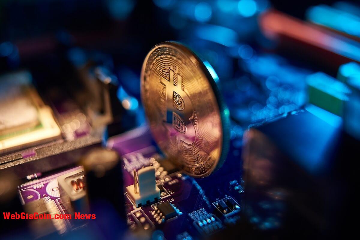 Tại sao Hashrate khai thác Bitcoin có thể chưa ra khỏi rừng