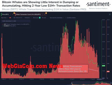 Santiment bitcoin whales