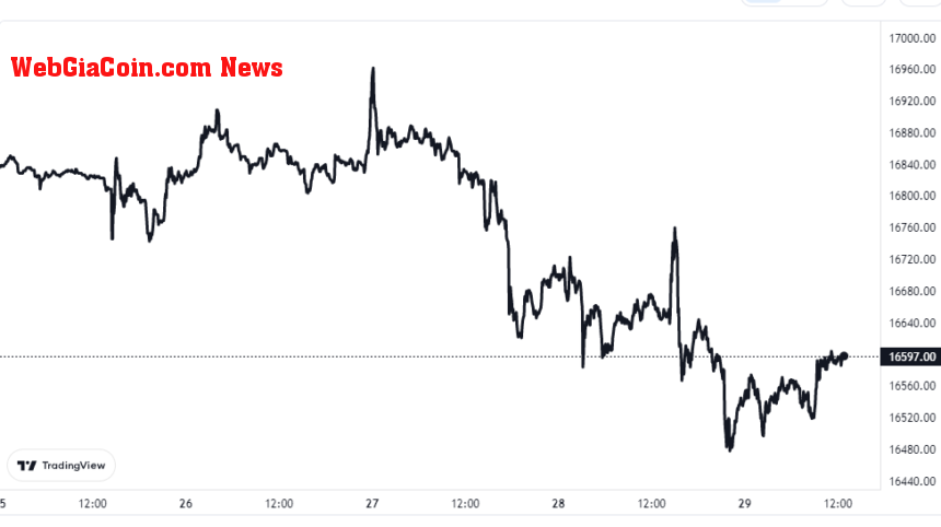 Bitcoin Price Chart