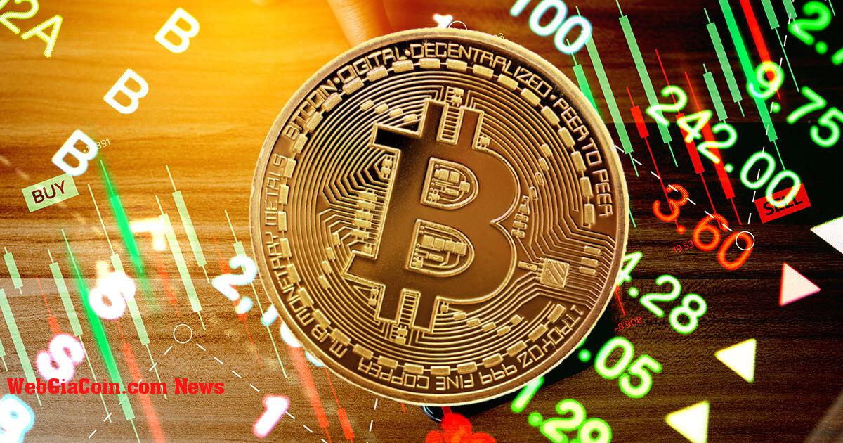 BTC hoạt động tốt hơn ARKK, MSTR, COIN bất chấp việc giảm 65% vào năm 2022