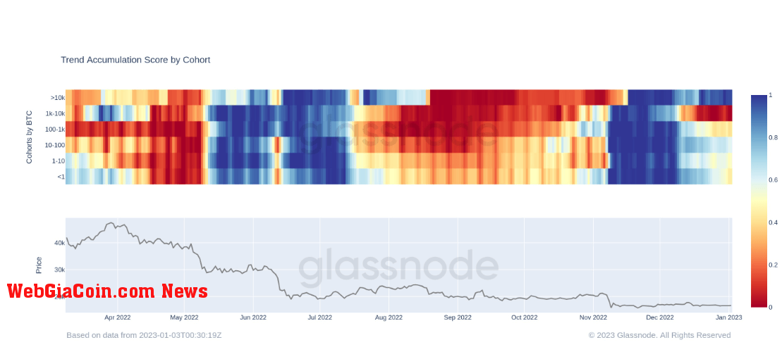 Bitcoin Accumulation Trend Score by Cohort