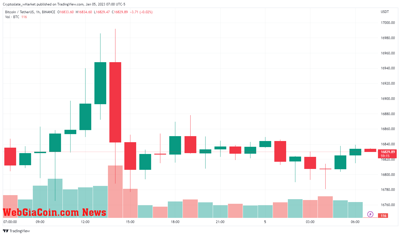 WebGiaCoin wMarket update