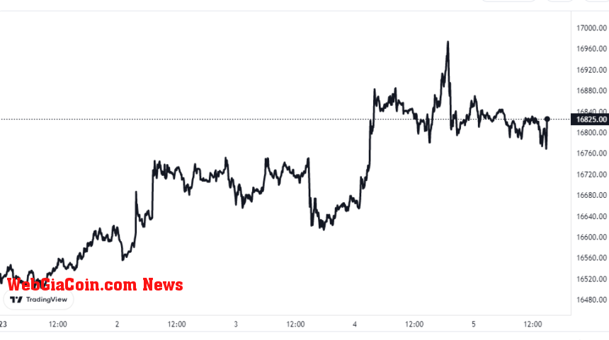 Bitcoin Price Chart