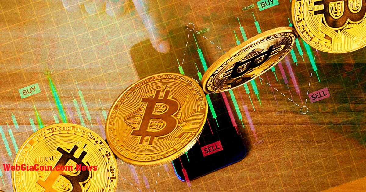 Nghiên cứu: Siêu cá voi bitcoin vẫn tích lũy tích cực, bán lẻ bán lẻ