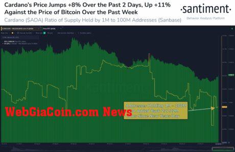 Cardano (ADA)