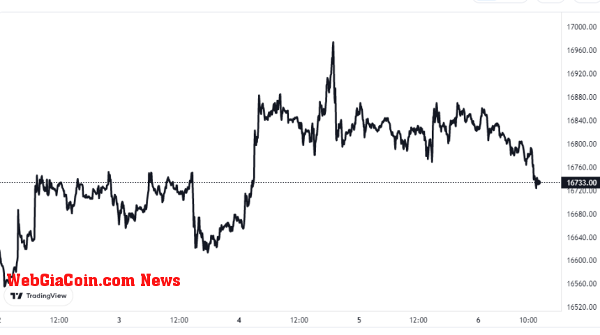 Bitcoin Price Chart