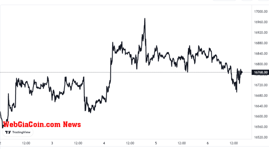 Bitcoin Price Chart