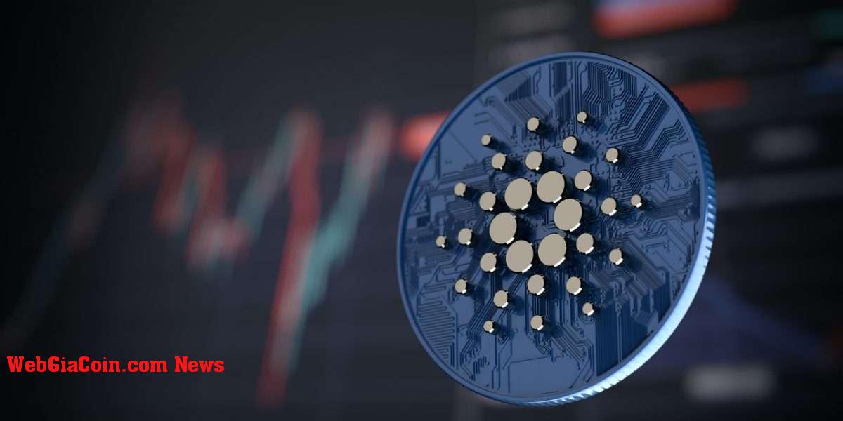 Cardano tăng 30% kể từ tháng 12 khi 28 con cá voi mới giữ ít nhất 1 triệu ADA