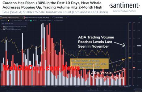 Santiment Stats On Cardano (ADA)