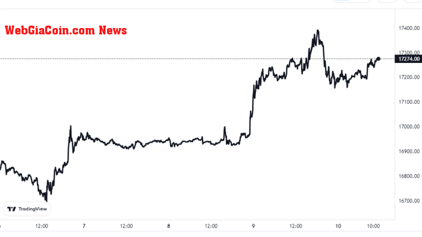 Bitcoin Price Chart