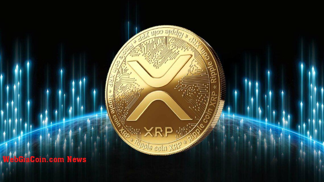 XRP đứng đầu danh sách tăng giá khi lãi suất cá voi tăng nhanh