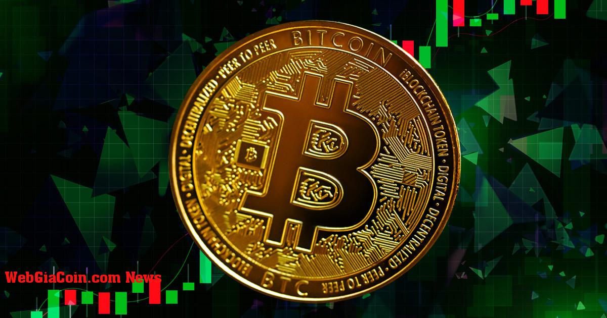 Bitcoin phá vỡ 21.000 đô la mua dài hạn bằng 255 triệu đô la mua giao ngay trong 24 giờ