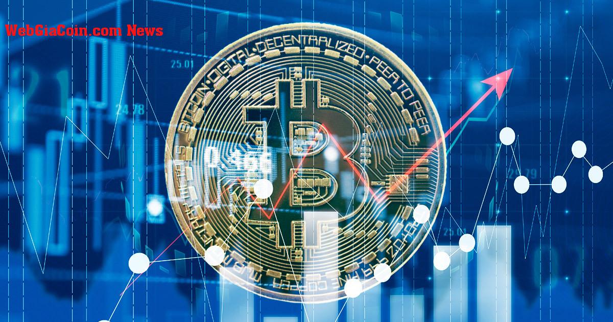 Tuần thứ hai của năm 2023, bắt đầu cuộc đua giành Bitcoin