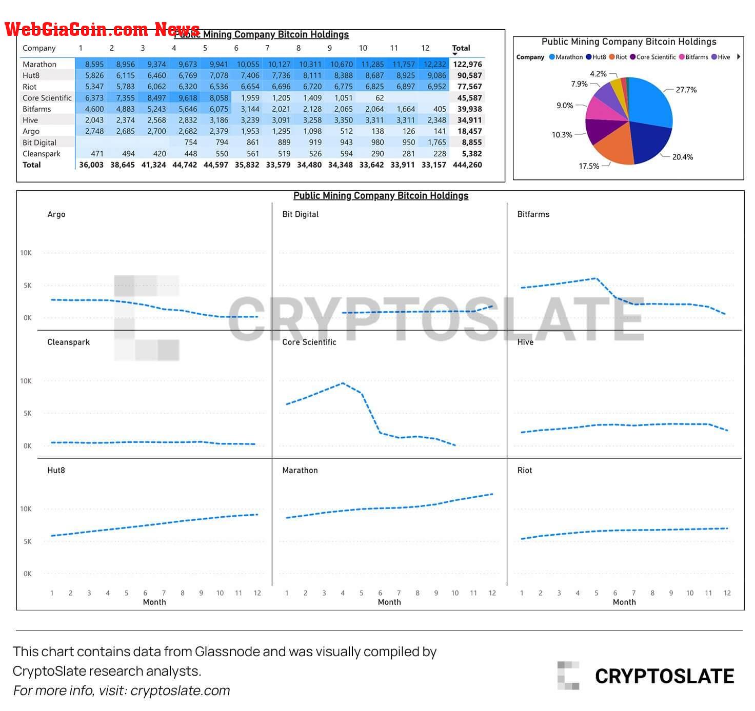 Public Mining Company Bitcoin Holdings