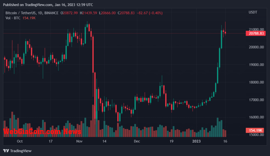 Whale Addresses Push Bitcoin To Surge, What Happens Now?