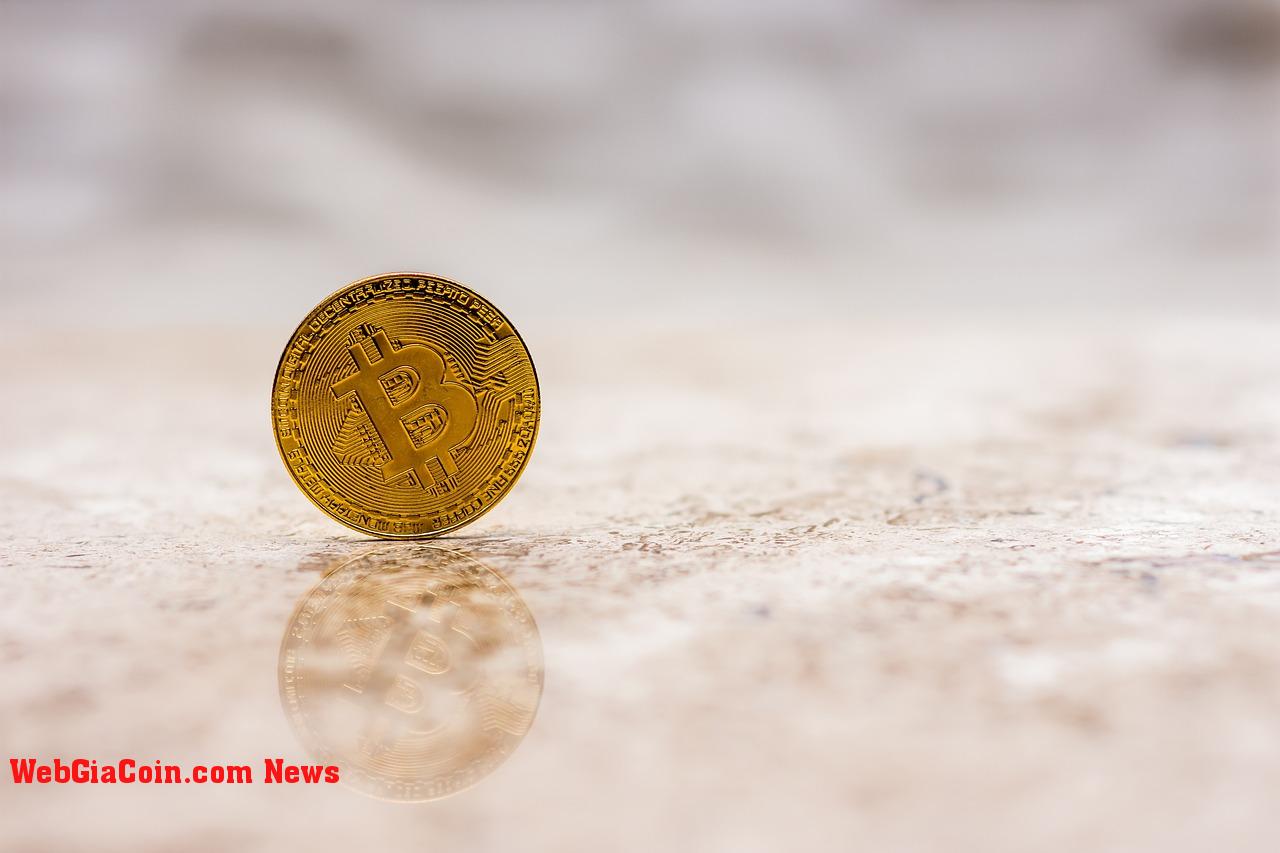 Biến động giá bitcoin với hoạt động của Cá voi, điều gì sẽ xảy ra bây giờ?