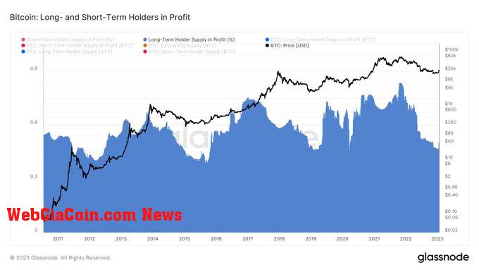 Bitcoin long and short term holders in profit