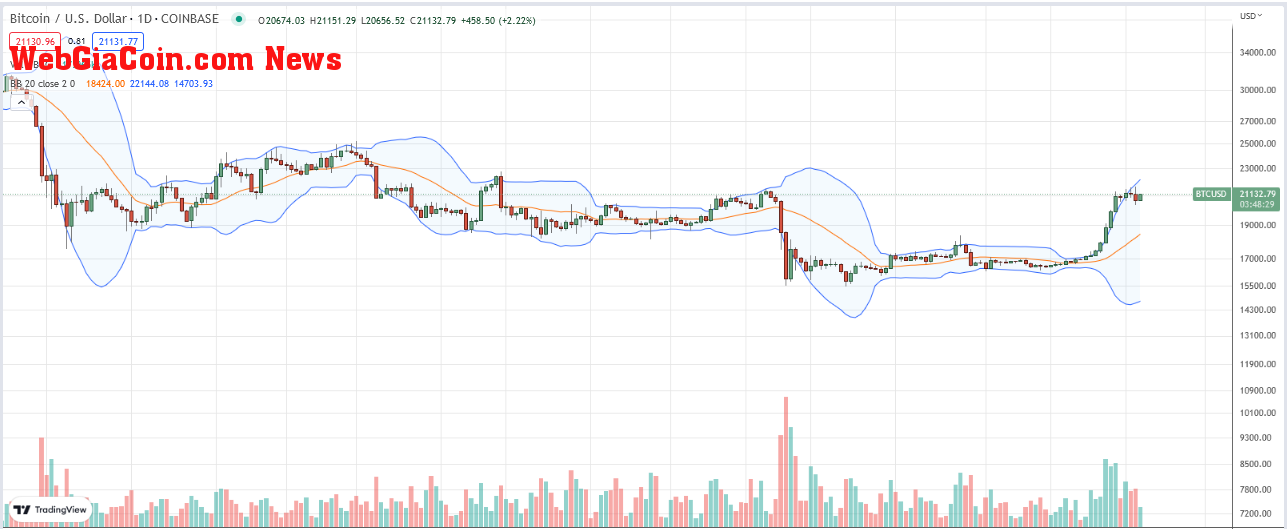 bitcoin daily chart