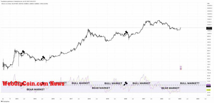 Bitcoin BTC RSI 