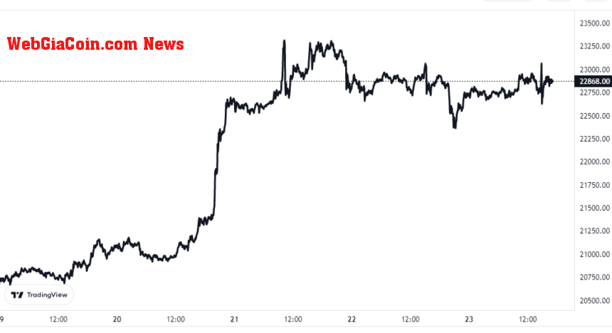 Bitcoin Price Chart