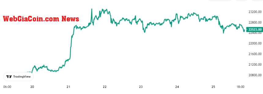 Bitcoin Price Chart