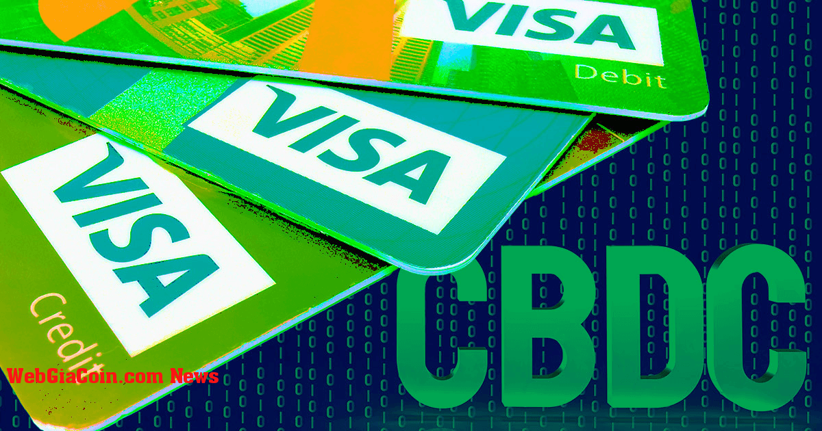 Visa đang làm việc trên một số sáng kiến CBDC và stablecoin – CEO