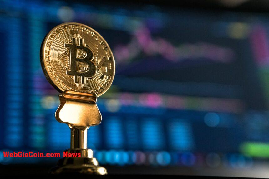 Các nhà đầu tư bitcoin trở nên tham lam, lần đầu tiên kể từ tháng 3 năm 2022
