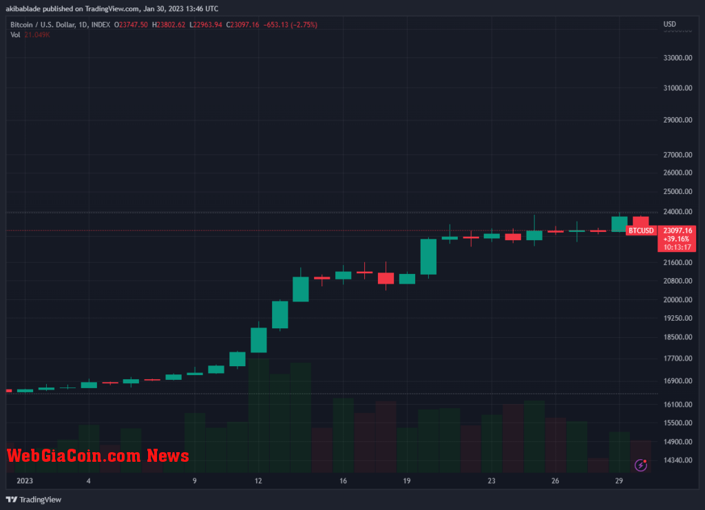 btc 2023 ytd