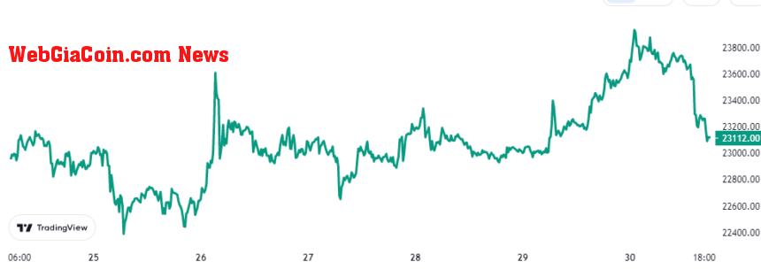 Bitcoin Price Chart