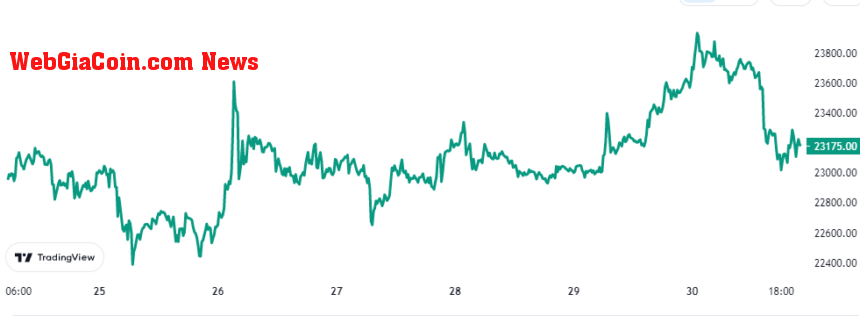 Bitcoin Price Chart