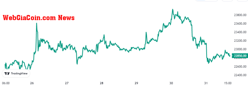 Bitcoin Price Chart