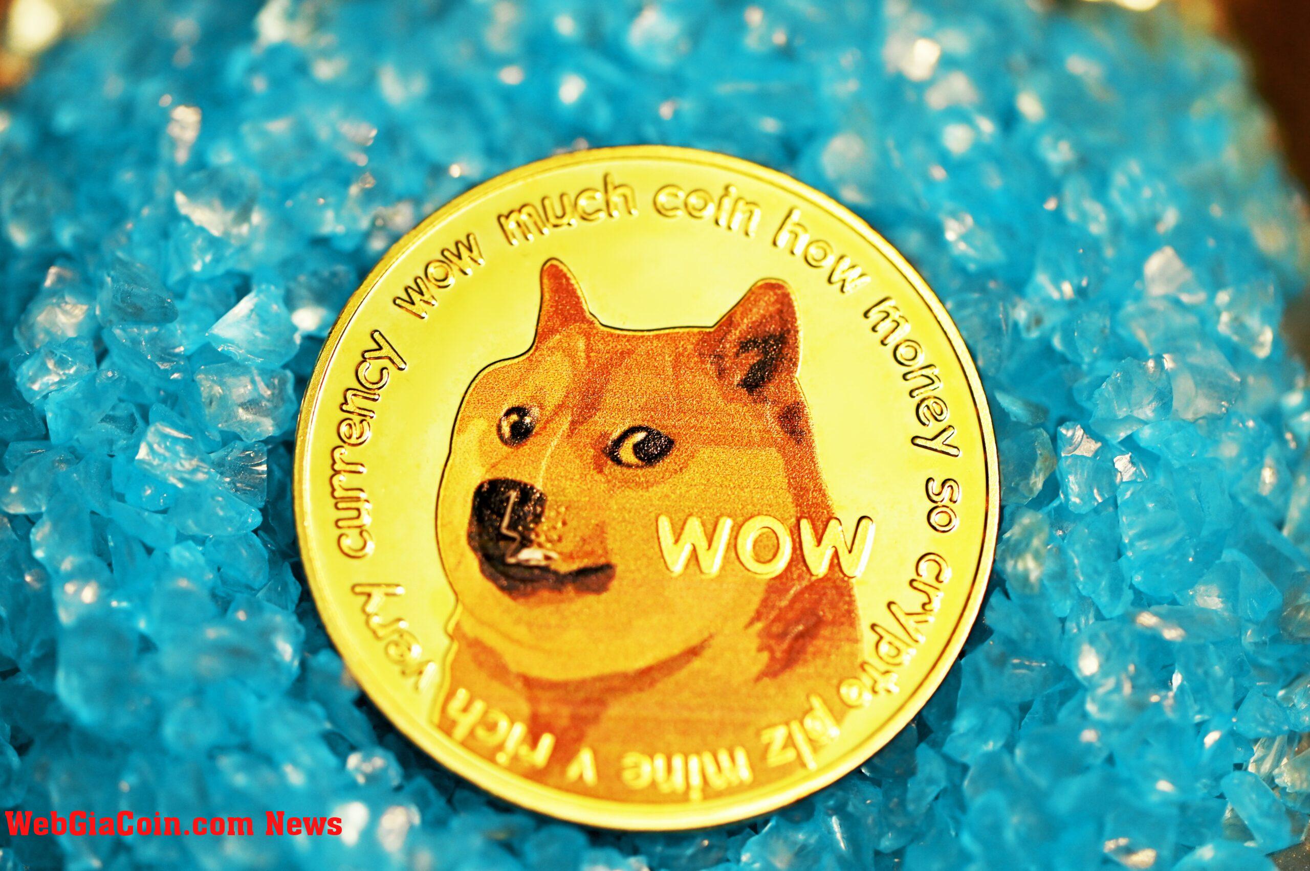 Cá voi Dogecoin di chuyển số lượng lớn, giảm giá cho DOGE?