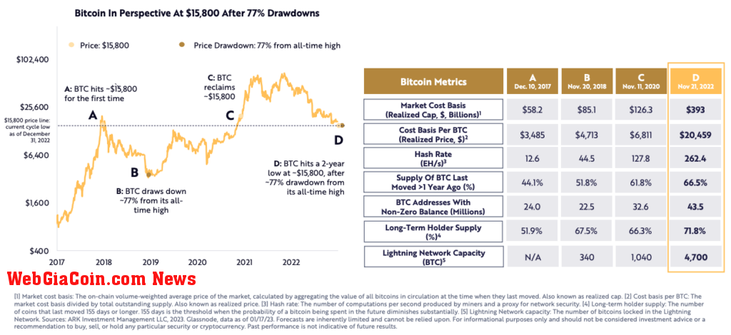 Bitcoin's strength today vs. past downturns (Source: ARK Invest).