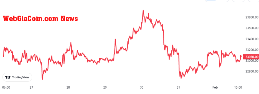 Bitcoin Price Chart