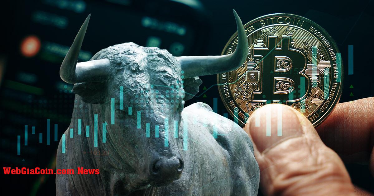 M31 Capital tăng giá BTC, dự đoán áp dụng vào năm 2023