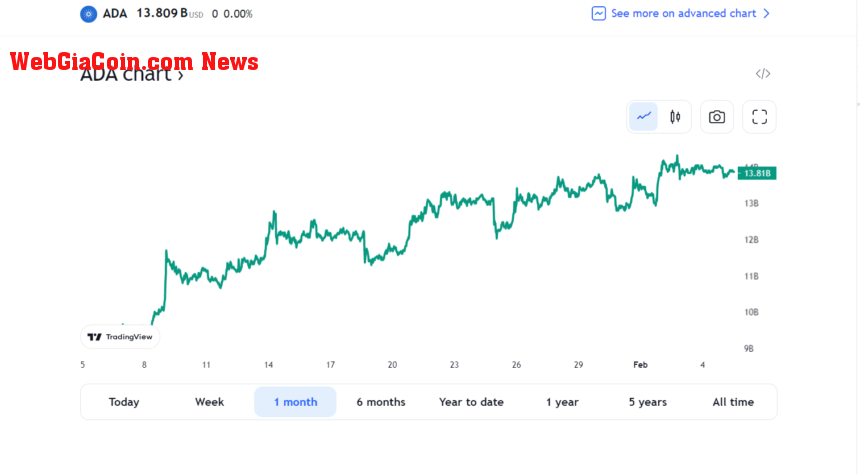 Cardano