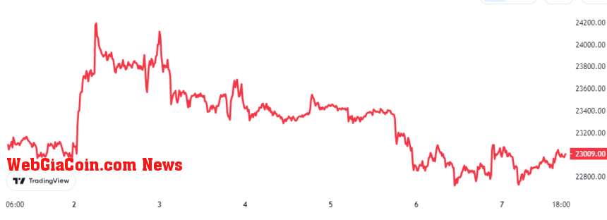 Bitcoin Price Chart