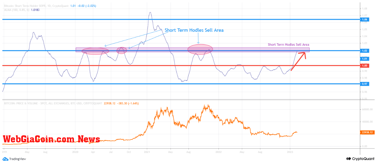 Bitcoin Short-Term Holder SOPR